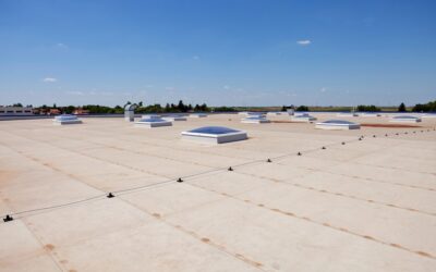 How Can I Tell if My Commercial Roof Needs Immediate Repair?